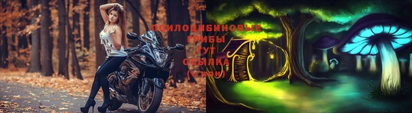 а пвп мука Аркадак