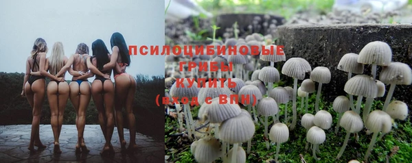 мескалин Арсеньев