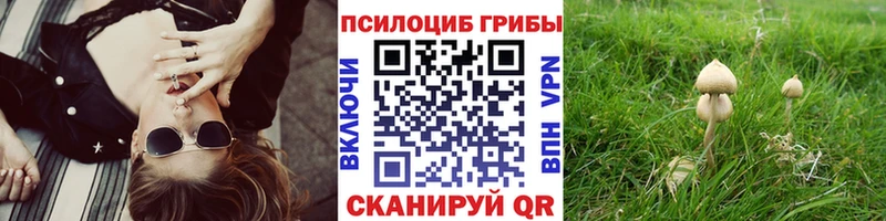 Галлюциногенные грибы MAGIC MUSHROOMS как найти Судак